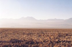 Salar de Atacama : sous les premiers rayons de soleil