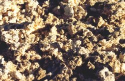Salar de Atacama : croute de sel