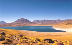 Laguna Miscanti